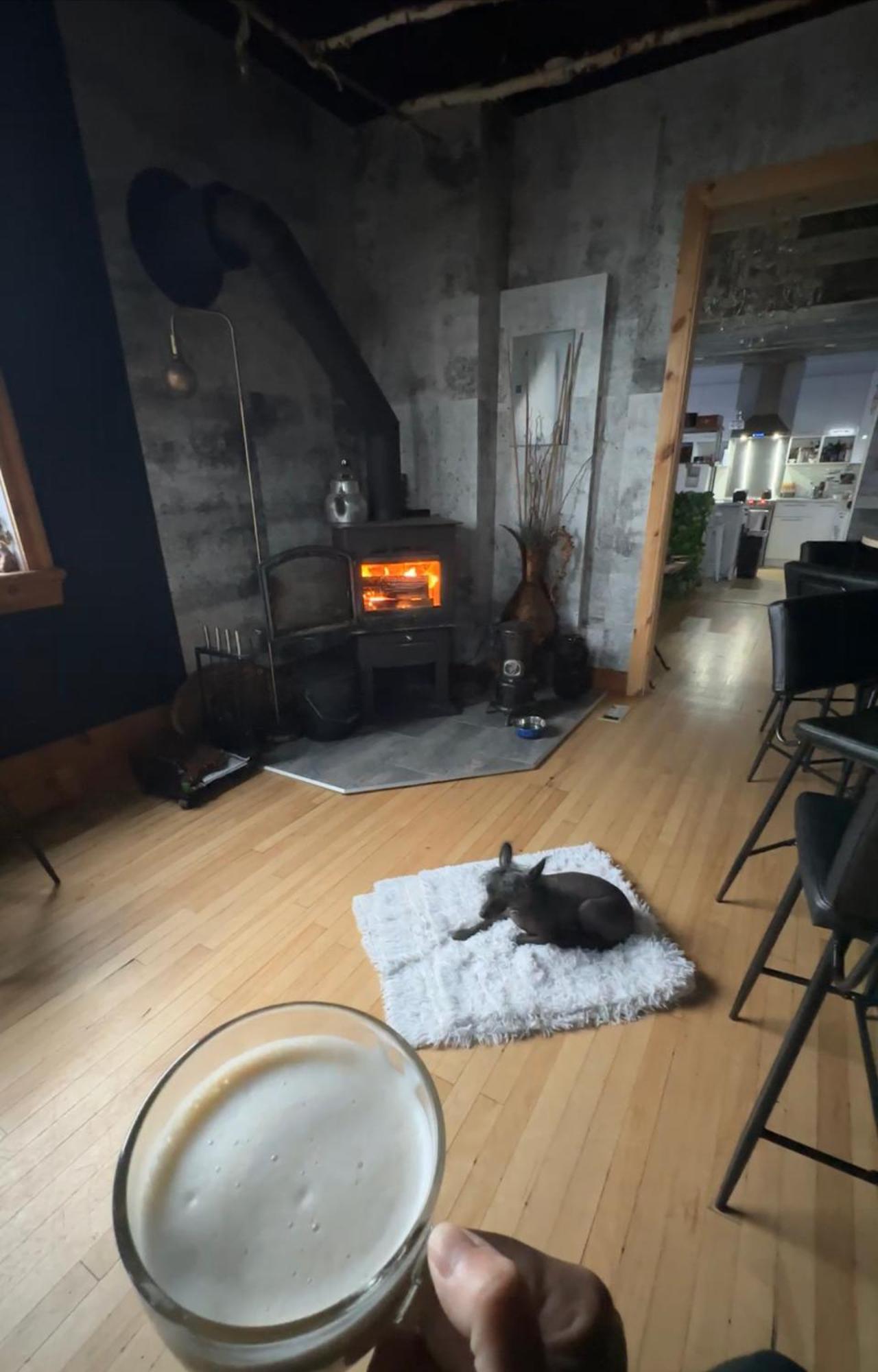 Auberge Et Bistro Namaste Lachute エクステリア 写真